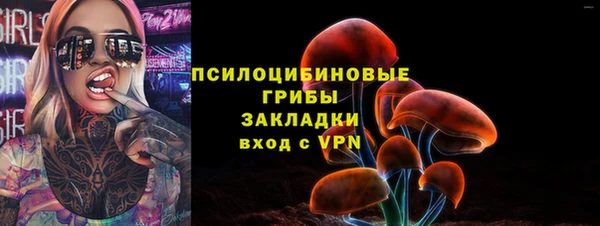 марки lsd Вяземский